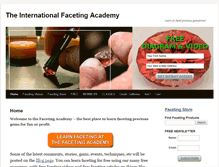 Tablet Screenshot of facetingacademy.com